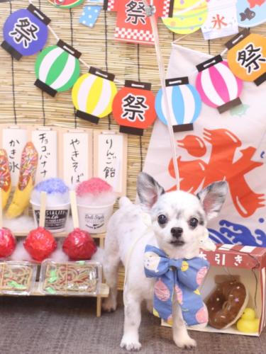 20240730メロディーくん